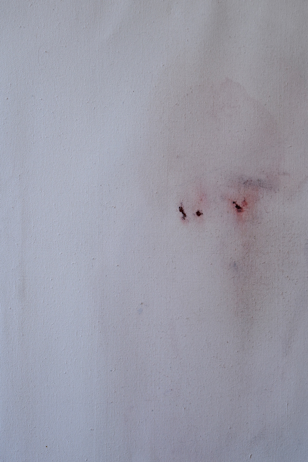 detail of period blood painting